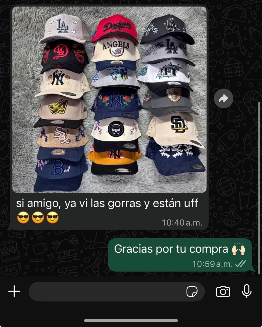 rg (93)